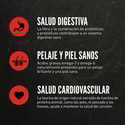 null - Product thumbnail 4.0